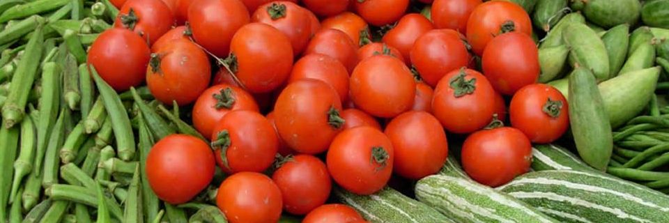 perishables tomatoes